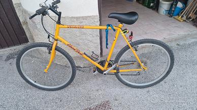 bicicletta 