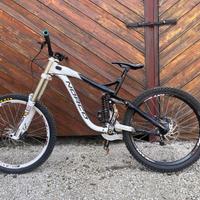 Bici da Downhill