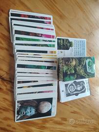 Sergio Toppi - Tarrot delle origini Lo Scarabeo