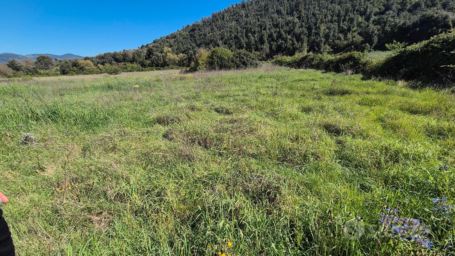 Terreno agricolo - Altro