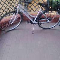 bicicletta