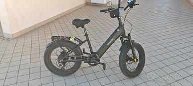 bici elettrica 