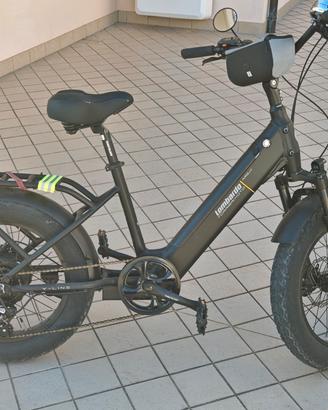 bici elettrica 