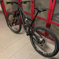 Specialized fsr