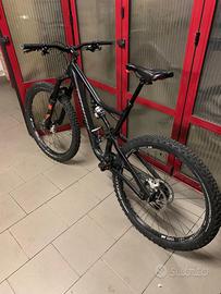 Specialized fsr