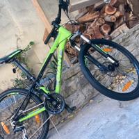 Mtb 24” giant