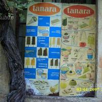 Insegne gelati tanara