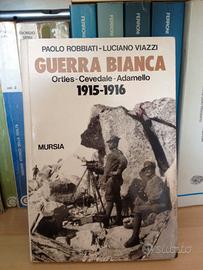 Guerra bianca. Ortles-Cevedale-Adamello (1915-1916