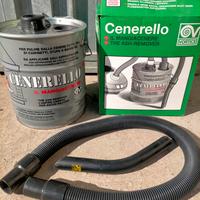 Mangiacenere Cenerello