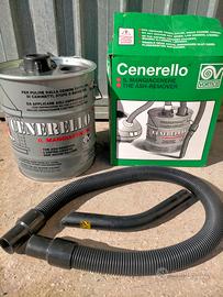 Mangiacenere Cenerello