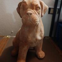 Statua Cane