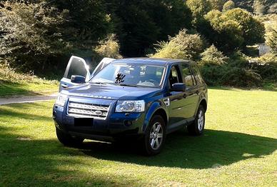 LAND ROVER Freelander 2ª serie - 2010