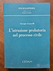 L'Istruzione Probatoria Nel Processo Civile. 1997