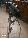 telescopio celestron next star 5 slt motoriz
