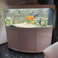 Acquario 450 lt