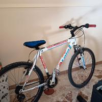 Bici Atala 