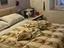 Immagine 10