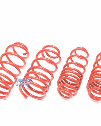 KIT MOLLE SPORTIVI PER FIAT