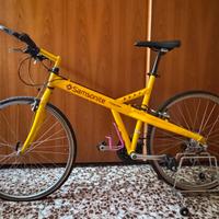 Bicicletta Samsonite