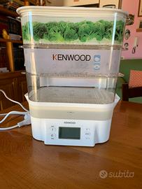 Pentola a vapore elettrica