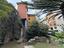 Immagine 17