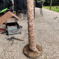 tiragraffi per gattini 