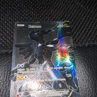 Zekrom nero e bianco