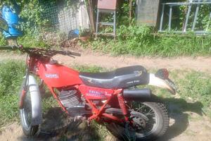 frantic trial 125