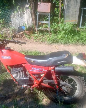 frantic trial 125