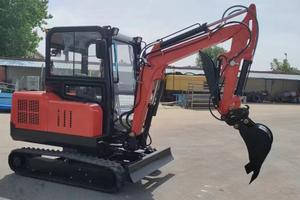 Escavatore 50 quintali