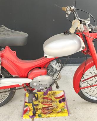 Moto Guzzi dingo