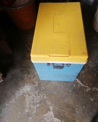 Mini frigo portatile