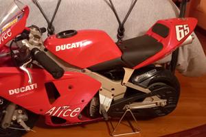 Polini Altro modello - 2008