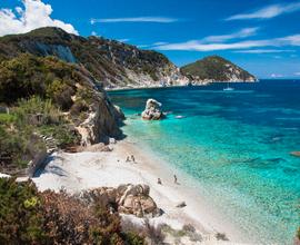 60 metri dalla spiaggia o in grande pineta privata