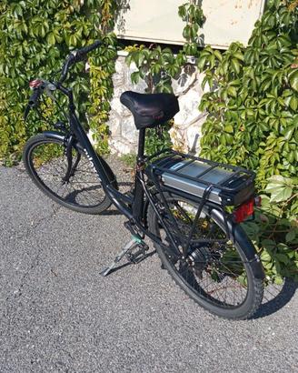 Bicicletta elettrica 