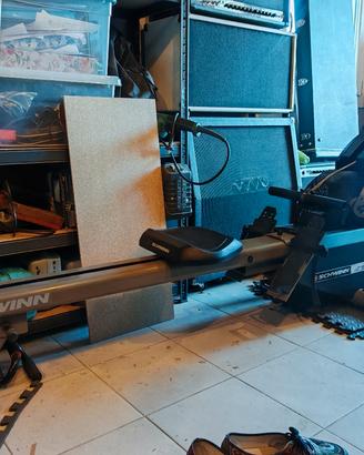 Vogatore Schwinn Windrigger
