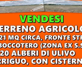 Terreno Agricolo