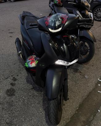 Sh 125 2023 sport