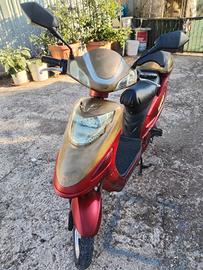 Bicicletta elettrica