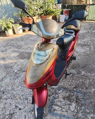 Bicicletta elettrica