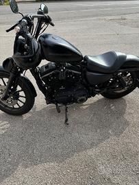 Harley-Davidson Sportster 883 - 2010