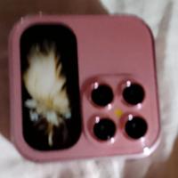 2 CELLULARI PRO CON SPORTELLINO