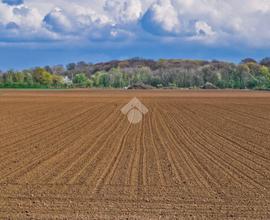 TER. AGRICOLO A ASOLO