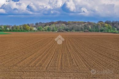 TER. AGRICOLO A ASOLO