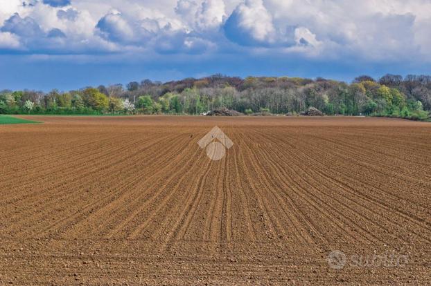 TER. AGRICOLO A ASOLO