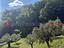 Immagine 15