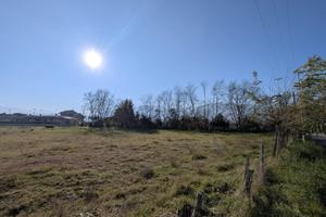 Terreno edificabile - Segni