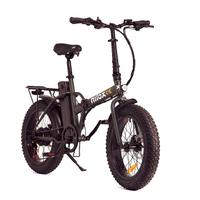 bici pedalata assistita 