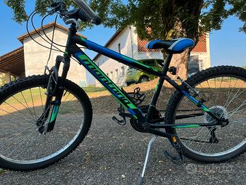 Mountain Bike Montana 26 pollici