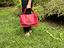 Immagine 6